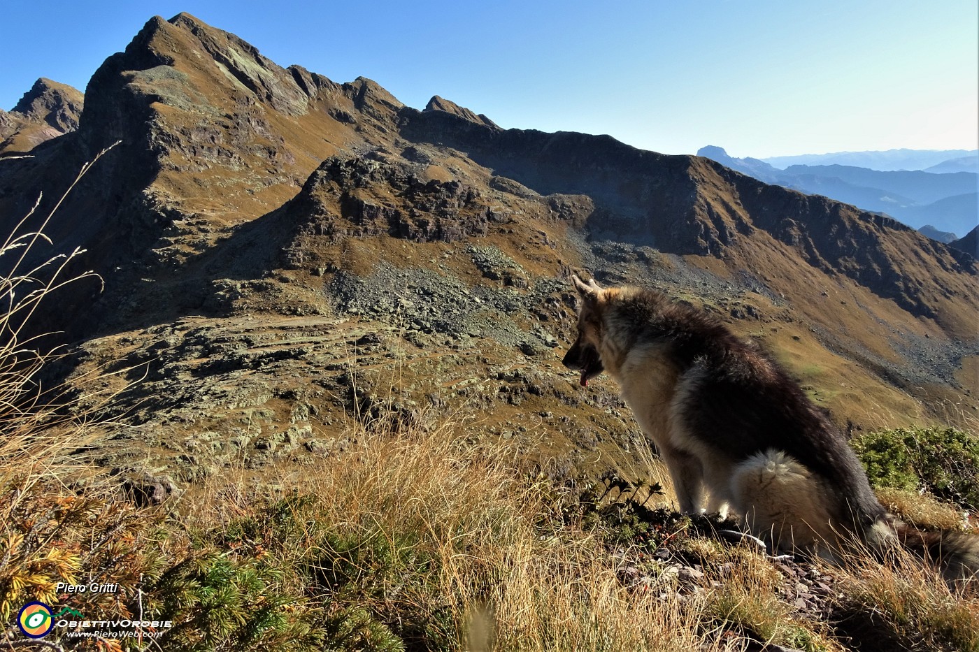 38 Dori osserva sulla Valle della Corte.JPG